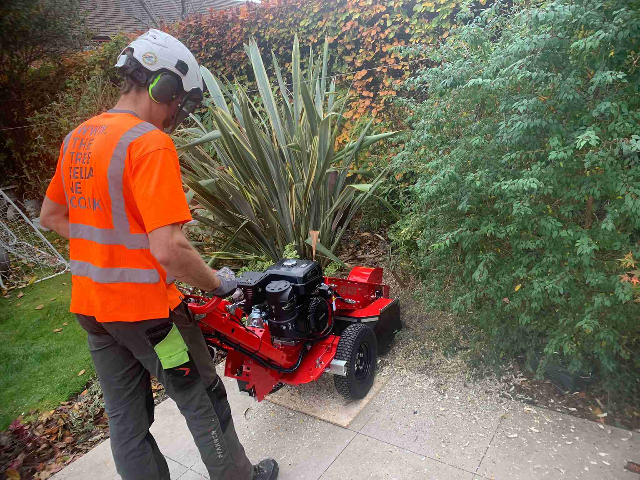 An employee of The Tree Fella NE Ltd grinding a cherry stump using our stump grinder