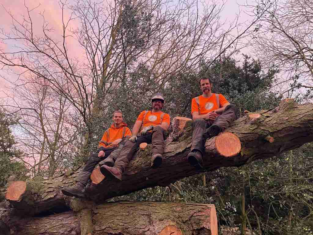 Three people in orange shirts and work gear sit on a large felled tree trunk outdoors, surrounded by trees and a pink sky.
