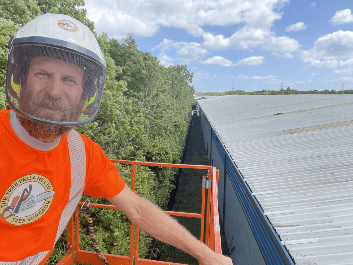 Man wearing a helmet and orange "Tree Surgeon" shirt stands on a cherry picker by tall trees next to a large industrial building under a partly cloudy sky.