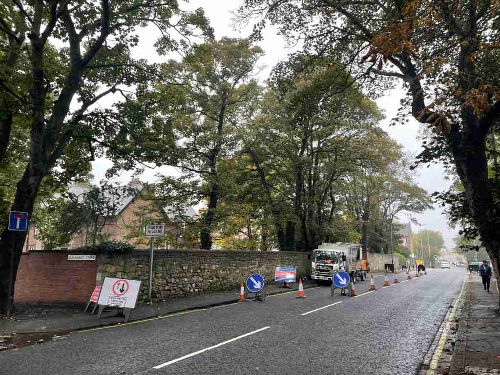 Road with traffic cones and signs indicating a diversion and no entry, lined with trees expertly maintained by commercial tree services and stone walls on both sides, under an overcast sky.