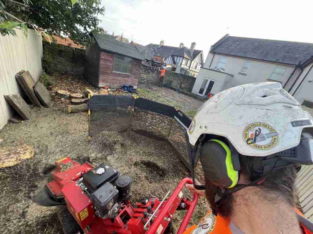 Removal of a cherry stump in jarrow using a stump grinder.