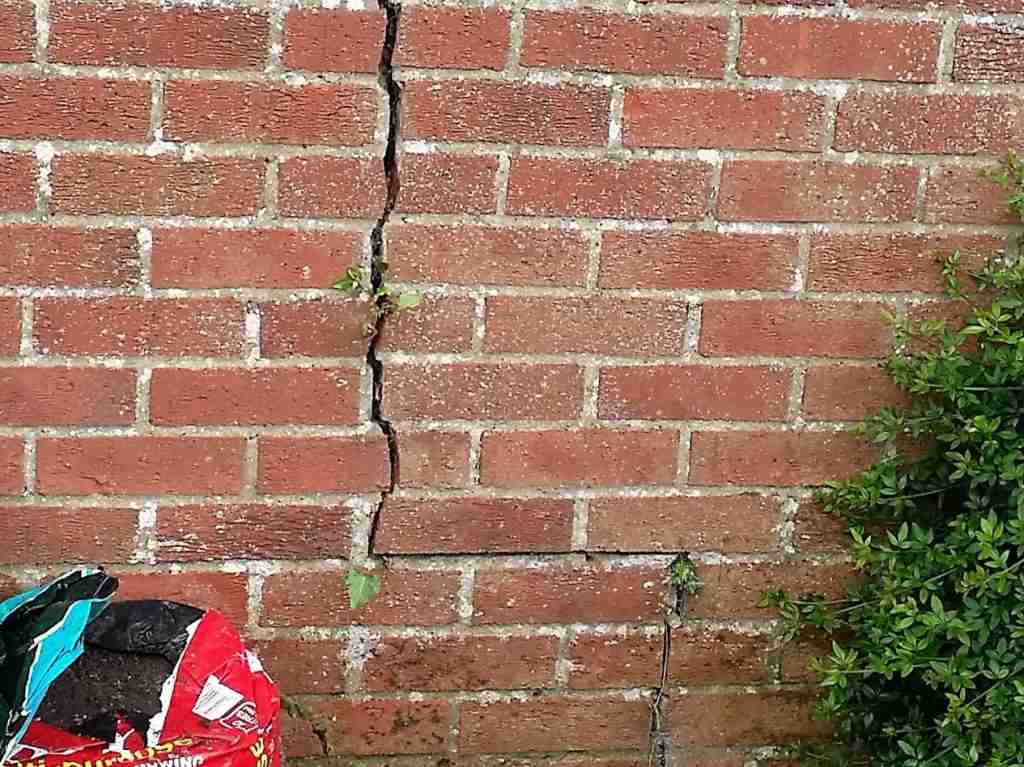 A red brick wall with a large vertical crack running through it, highlighting possible structural concerns often addressed in an arboricultural impact assessment. A bag of soil and a green bush are visible at the bottom corners.