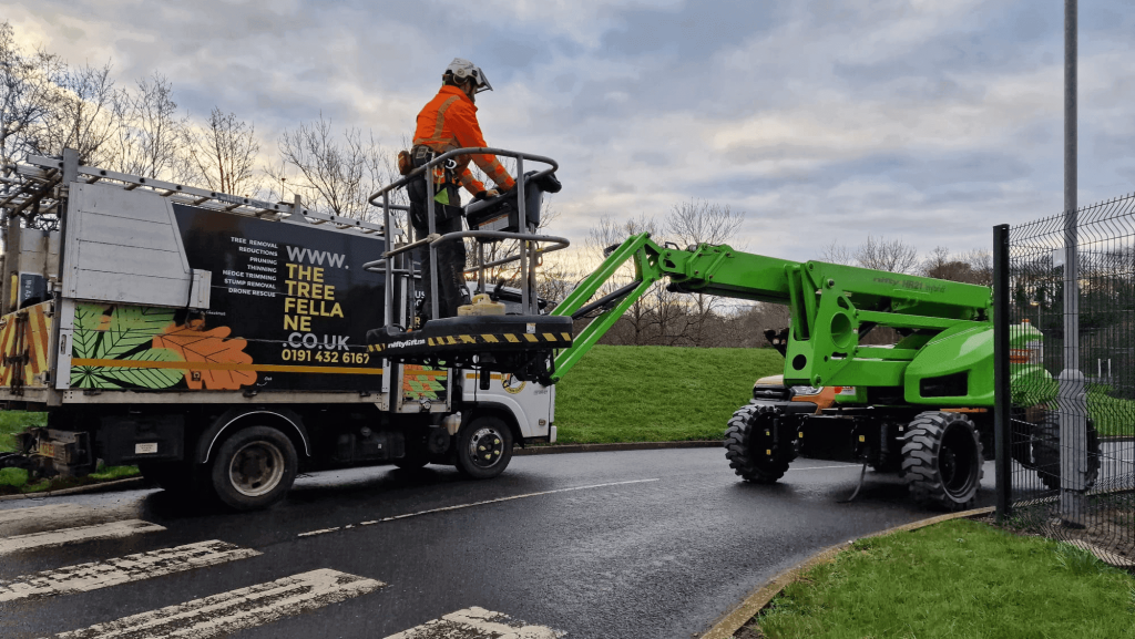 A worker in orange safety gear operates a green cherry picker beside a lorry labelled with a tree service company's details on a road near a grassy area and fence.