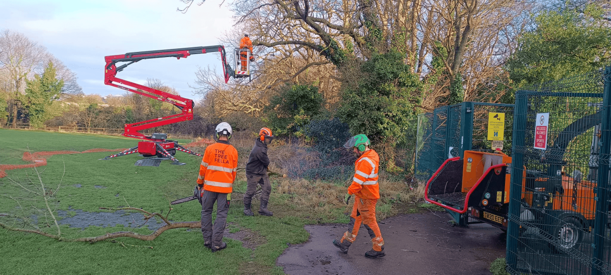 Three workers in safety gear trim tree branches; one operates a lift, while others observe near a wood chipper and fallen branches in a grassy park area.
