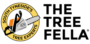 The Tree Fella®
