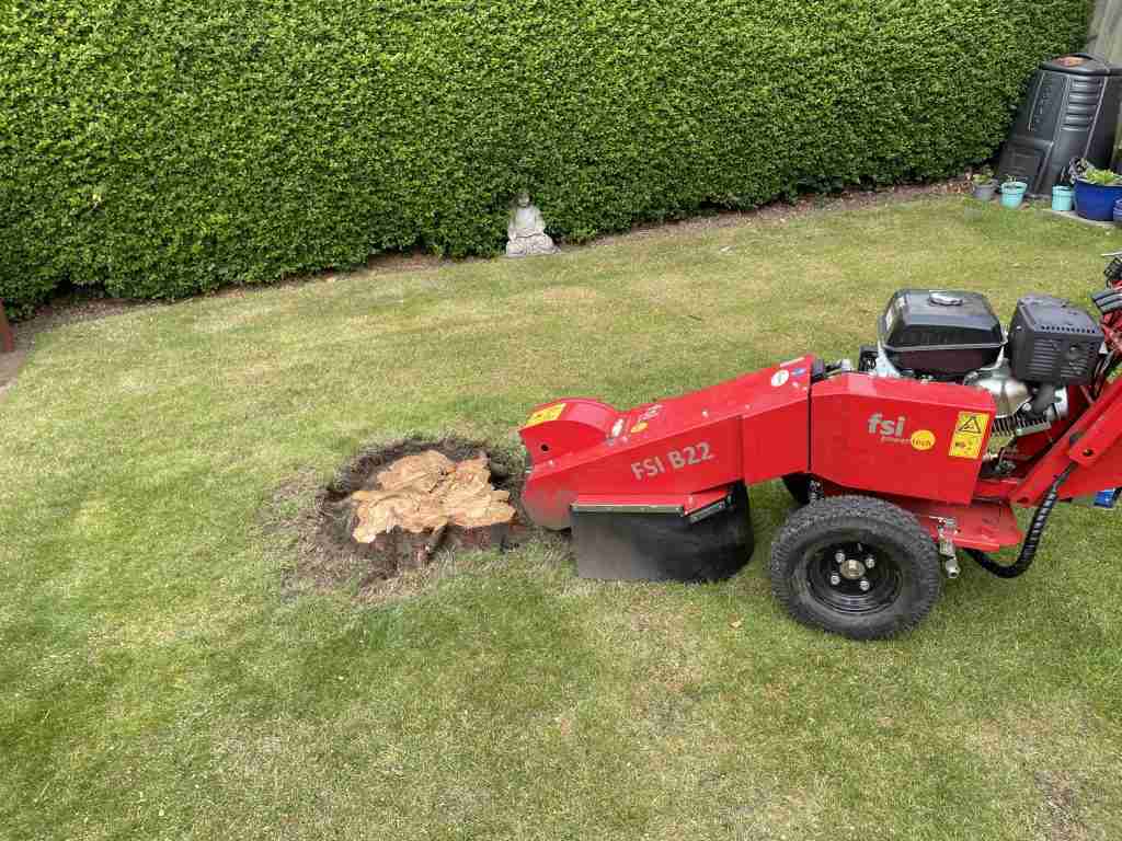 Removal of stump