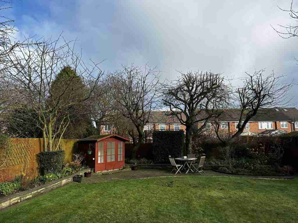 Back garden with trees and a shed