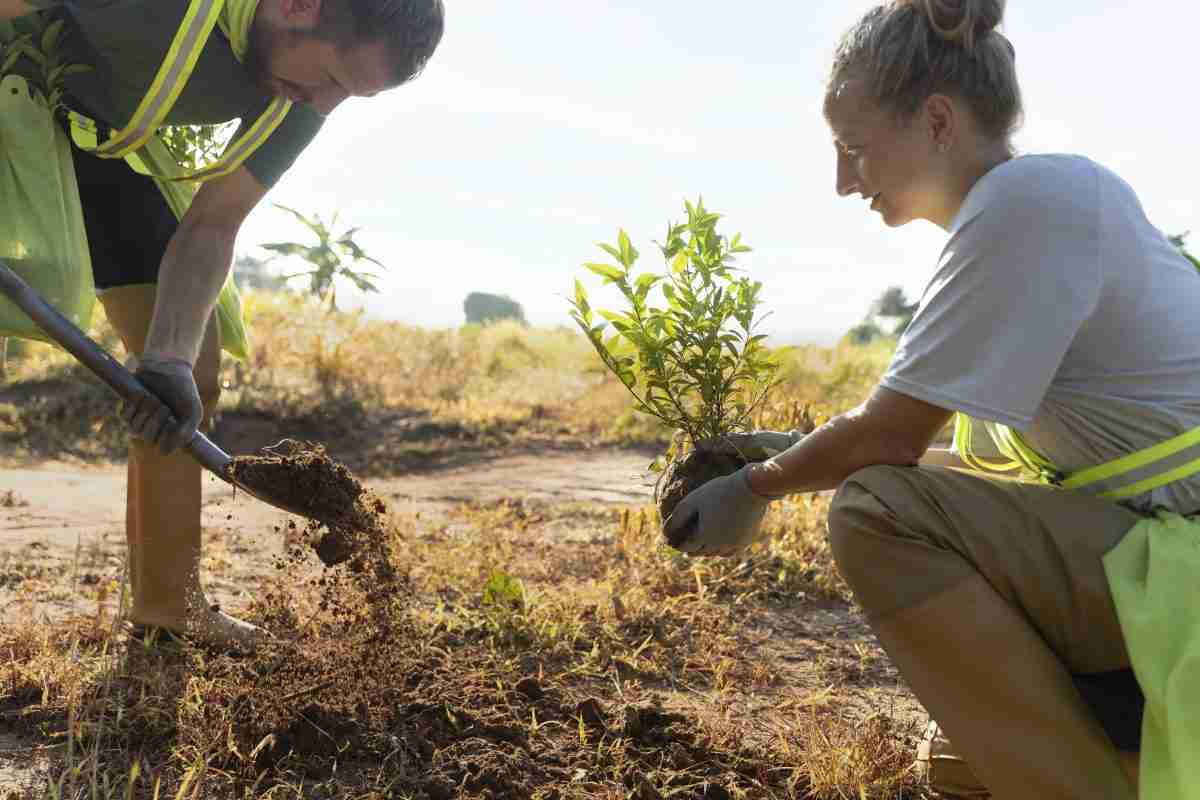 Two people planting a tree wearing high vis jackets