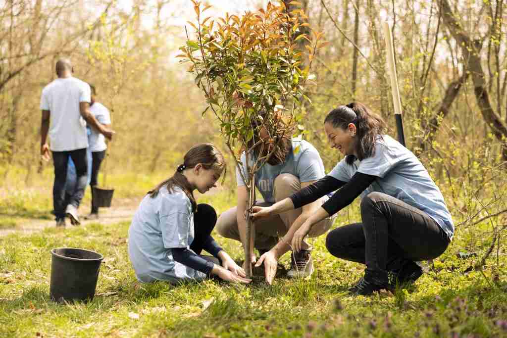 Three people crouch to plant a sapling in a grassy area while others walk in the background. A black bucket sits nearby. All are wearing light blue shirts.