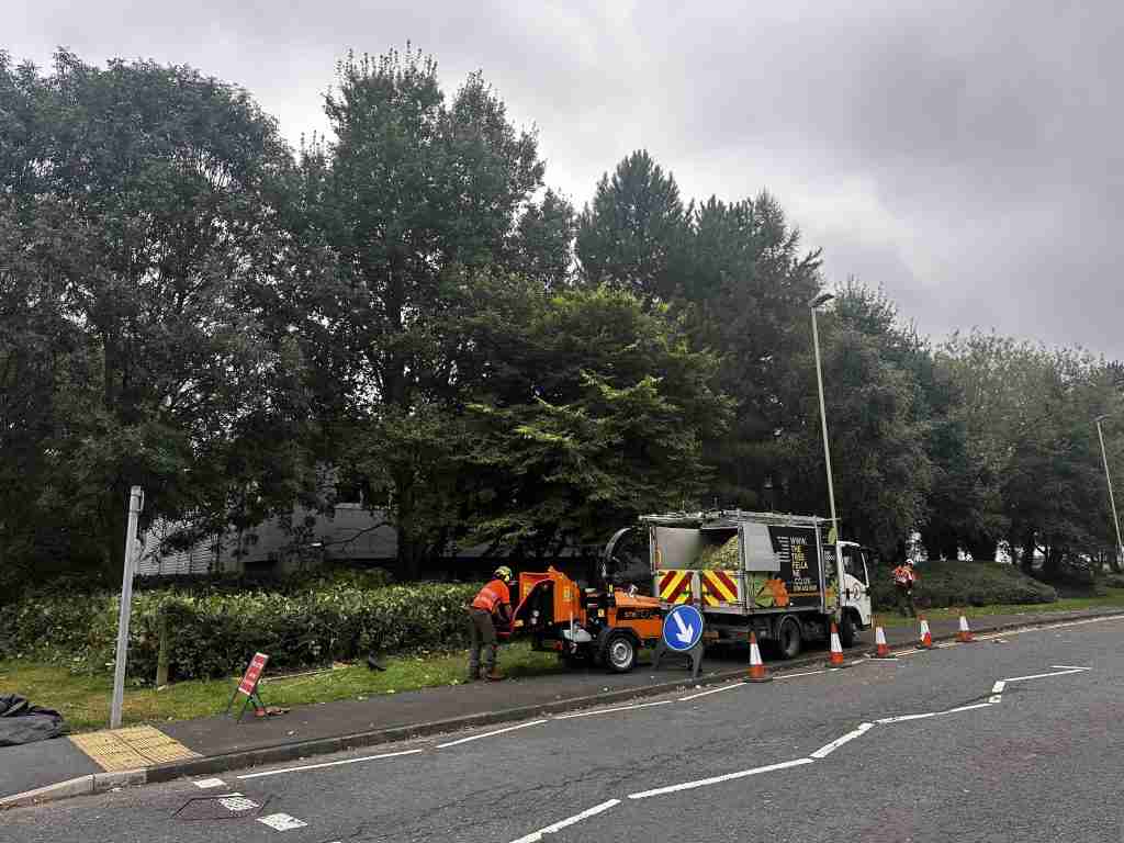 The TreeFella van on the side of a road next to a tree