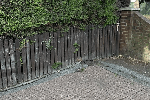 Tree related damage to a driveway caused by tree root growth.