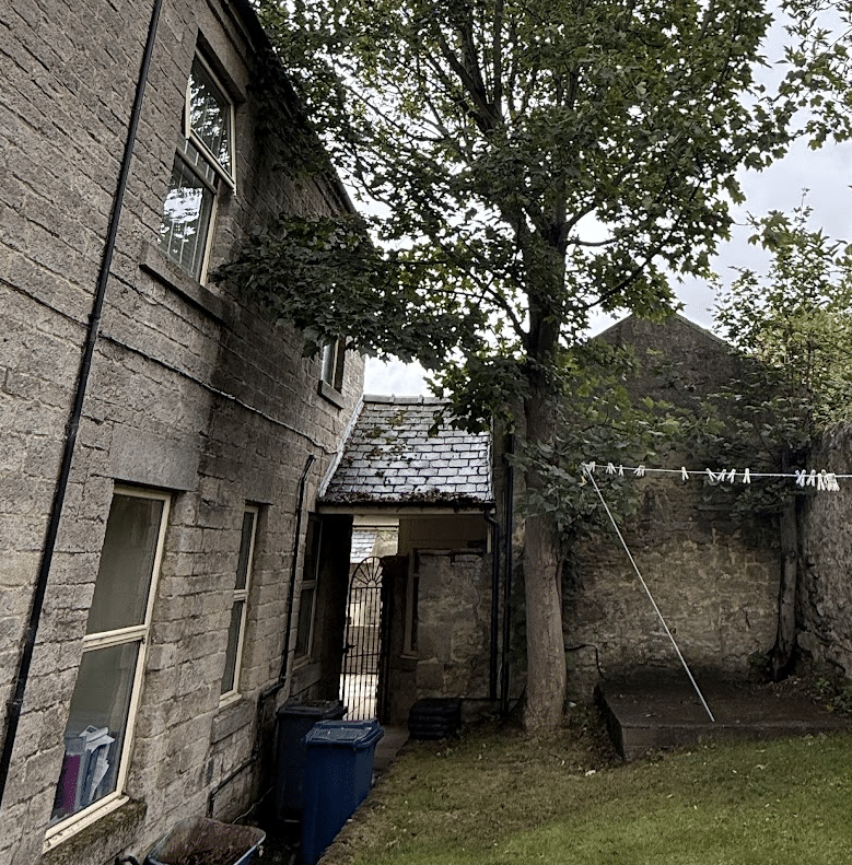 Tree near a house directly contacting the house with a risk of direct damage to the windows.
