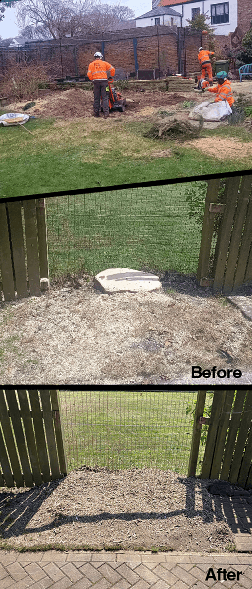 Workers clearing grass; "Before" shows patchy, worn ground by a gate—a situation often highlighted in an arboricultural method statement or tree constraints plan as per BS5837 guidelines; "After" shows newly laid gravel in the same area.