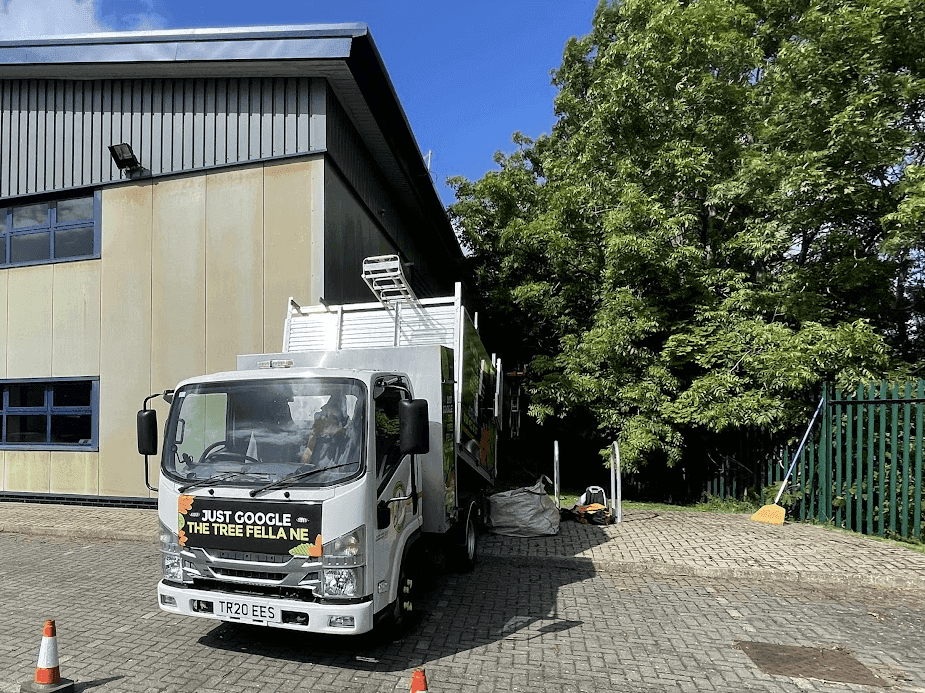 A tree service lorry is parked by a building with equipment and cones nearby. The side of the lorry reads, “JUST GOOGLE THE TREE FELLA NE.” Trees and a fence are visible in the background.